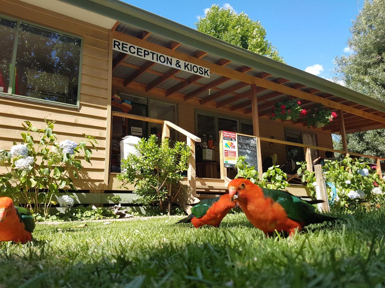 Jamieson Caravan Park Buitenkant foto
